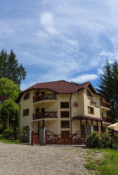 Pensiunea Görgő Panzió Sfântu-Gheorghe Exterior foto